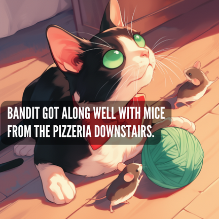 black and white tuxedo kitten with red bowtie and cloudy green eyes from cataracts. playing with yarn and mice. Caption reads: "Bandit got along well with mice from the pizzeria downstairs."